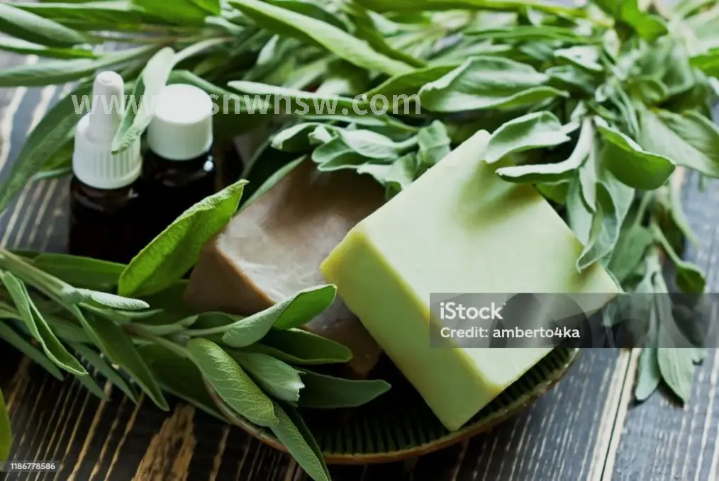 桑拿趋势