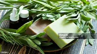 告别传统澡堂子！深圳桑拿新趋势：沉浸式体验与个性化定制成主流！