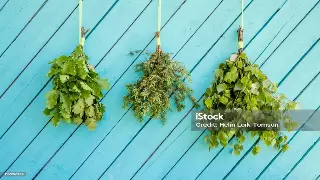 深圳桑拿新玩法：告别千篇一律，解锁你的专属蒸汽密码！