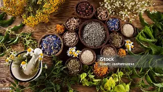 桑拿新风向：告别传统澡堂子，拥抱个性化健康体验！